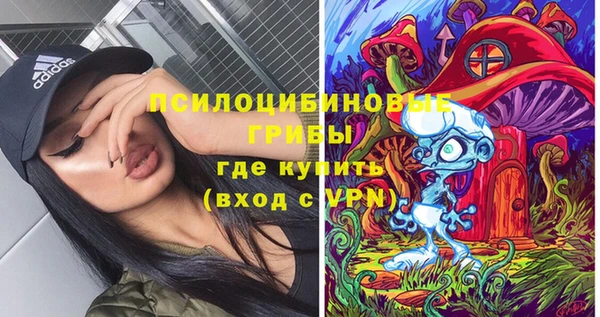 МДПВ Аркадак