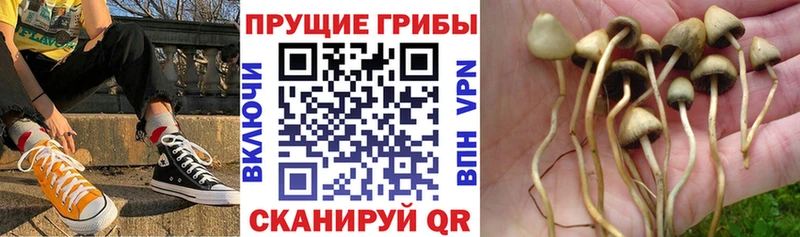 ОМГ ОМГ ТОР  Набережные Челны  Псилоцибиновые грибы Psilocybe  купить наркотики сайты 